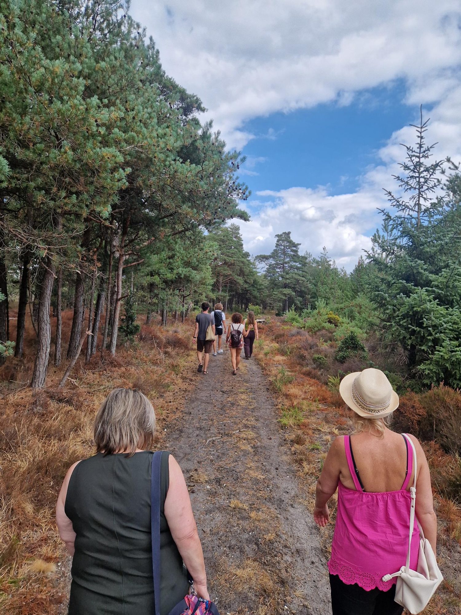 Walking on the heath in good light