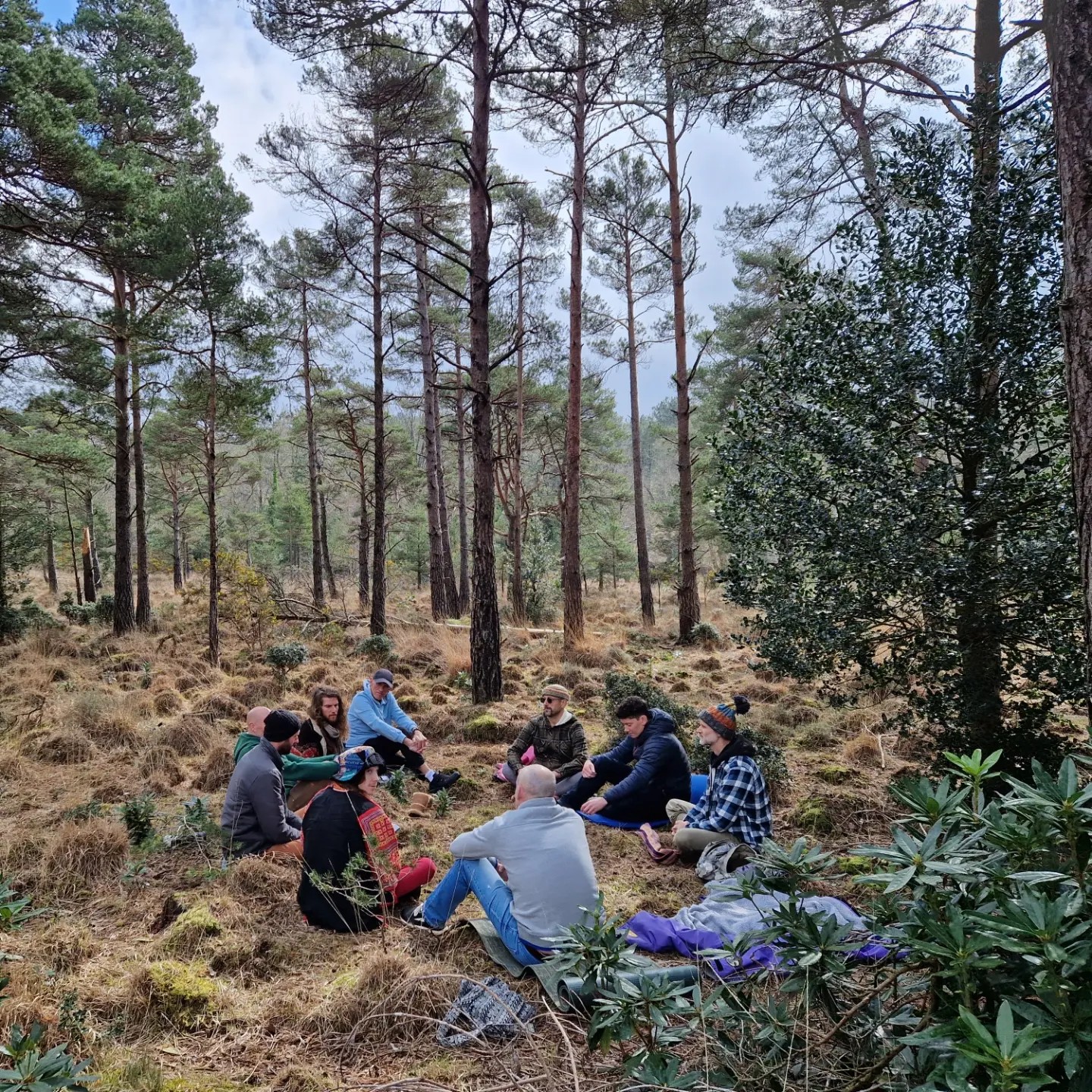 The circle among the pines