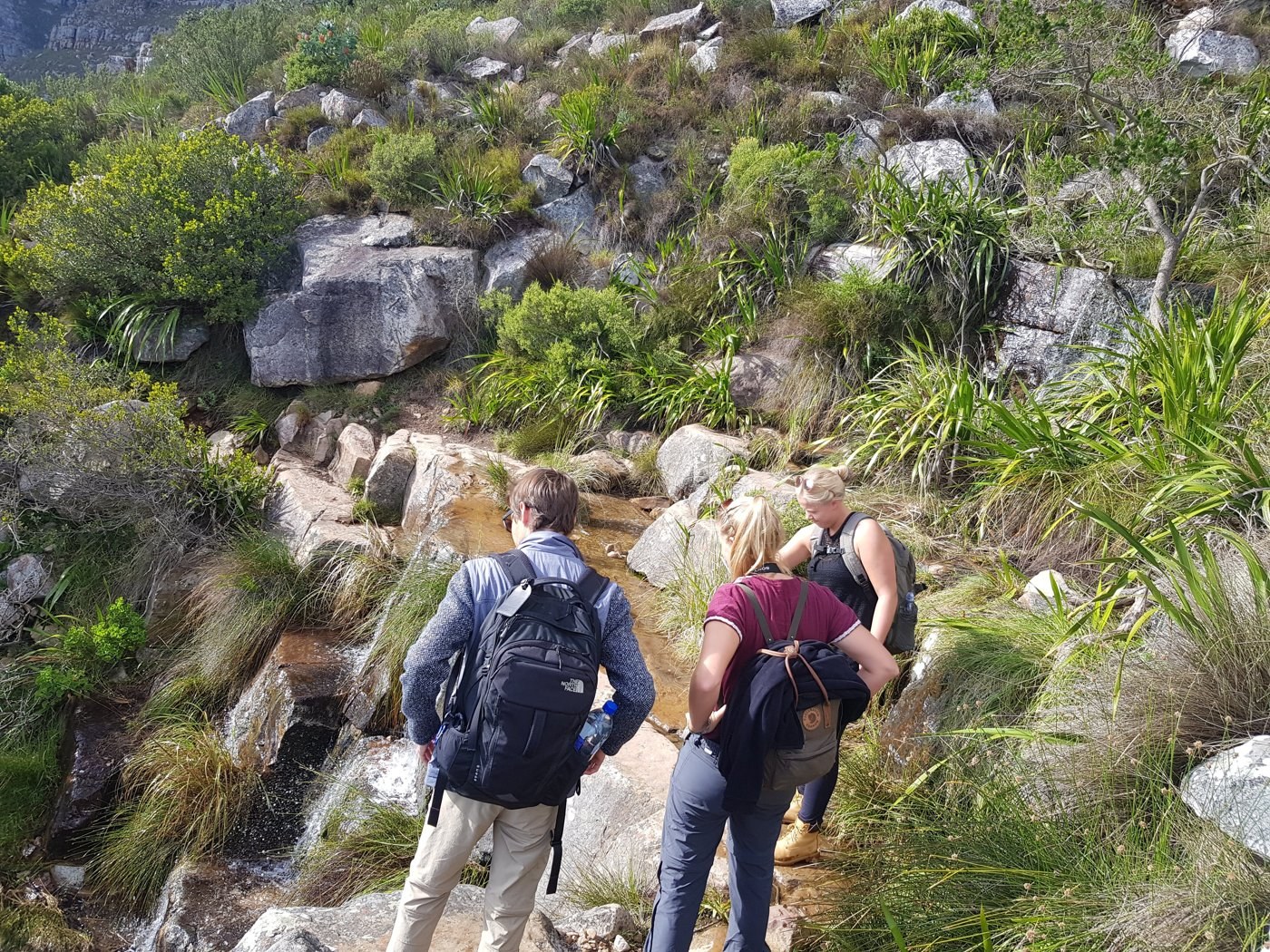 Fieldcraft in rocky country