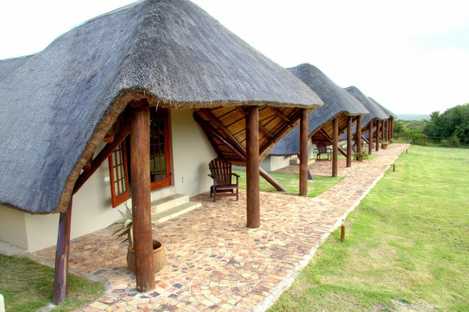 The thatched lodge